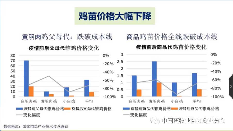 全球禽類(lèi)產(chǎn)業(yè)面臨流感疫情挑戰(zhàn)，應(yīng)對(duì)策略與最新動(dòng)態(tài)