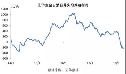 山東生豬行情最新深度解析