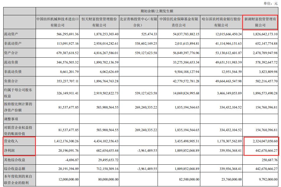 新湖負債最新動態(tài)，挑戰(zhàn)與機遇并存