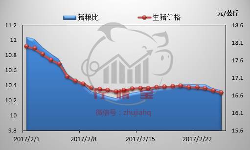 下半年豬價(jià)行情走勢(shì)分析預(yù)測(cè)