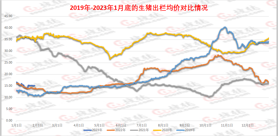 陜西今日豬價(jià)更新，市場(chǎng)動(dòng)態(tài)及影響因素深度解析