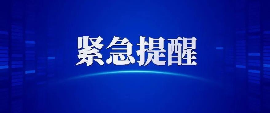 寧陽最新新聞視頻報道，城市發(fā)展與動態(tài)軌跡概覽