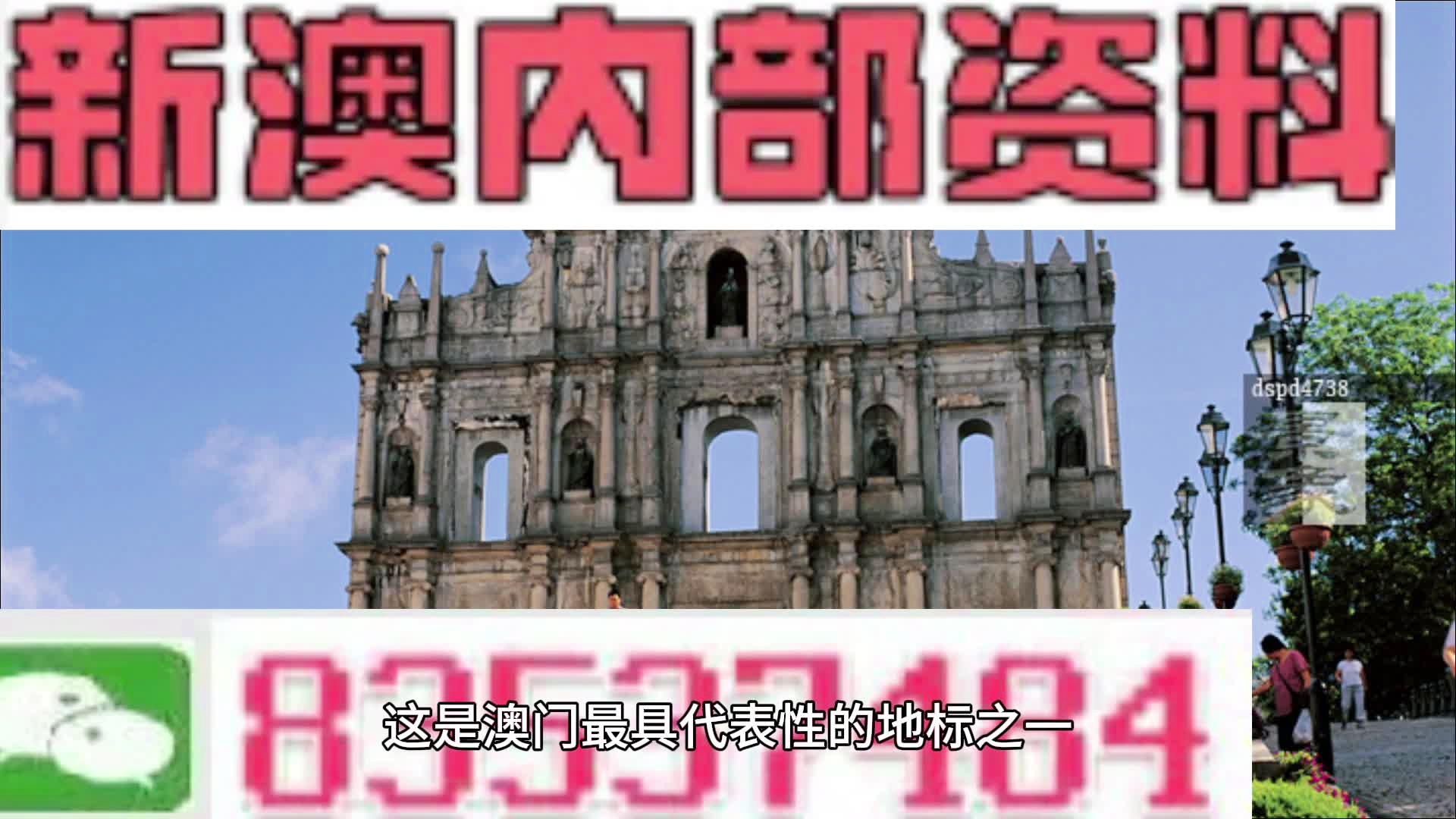 新澳2024正版免費(fèi)資料，探索之旅與啟示之門(mén)