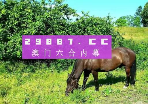澳門(mén)一肖一碼，獨(dú)特魅力的探索與前進(jìn)之路