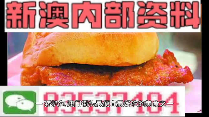 關(guān)于新澳2024正版免費(fèi)資料的探討，涉及違法犯罪的警示分析